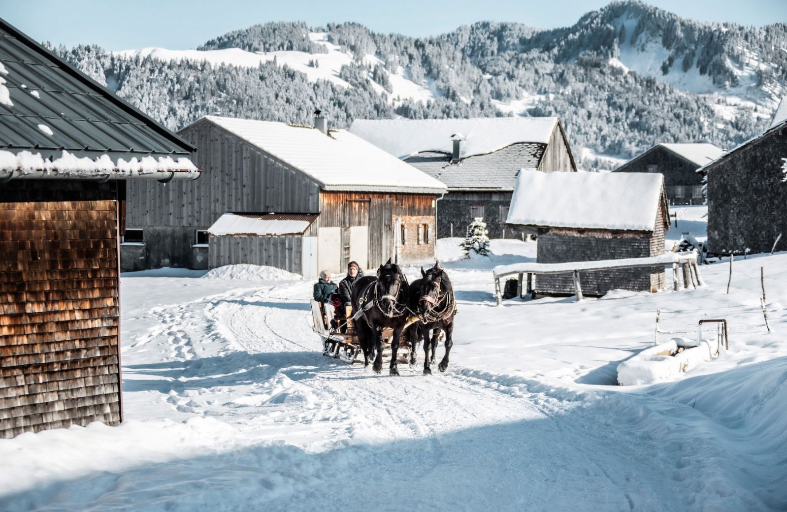 The Alpinists | Best Hotels In The Alps | Luxury Alpine Hotels