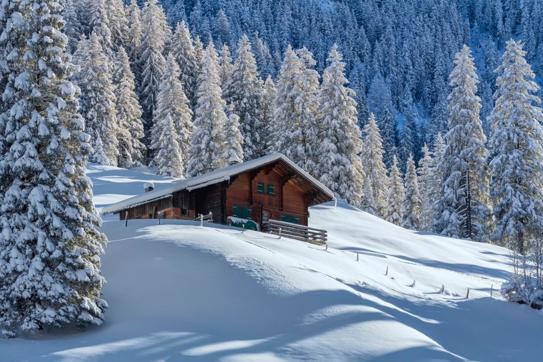 Traditional Mountain Hut in snow, backgournd Pines forest | Ski Adelboden Swiss Alps | Guide to Best Skiiing in the Bernese Oberland, Switzerland