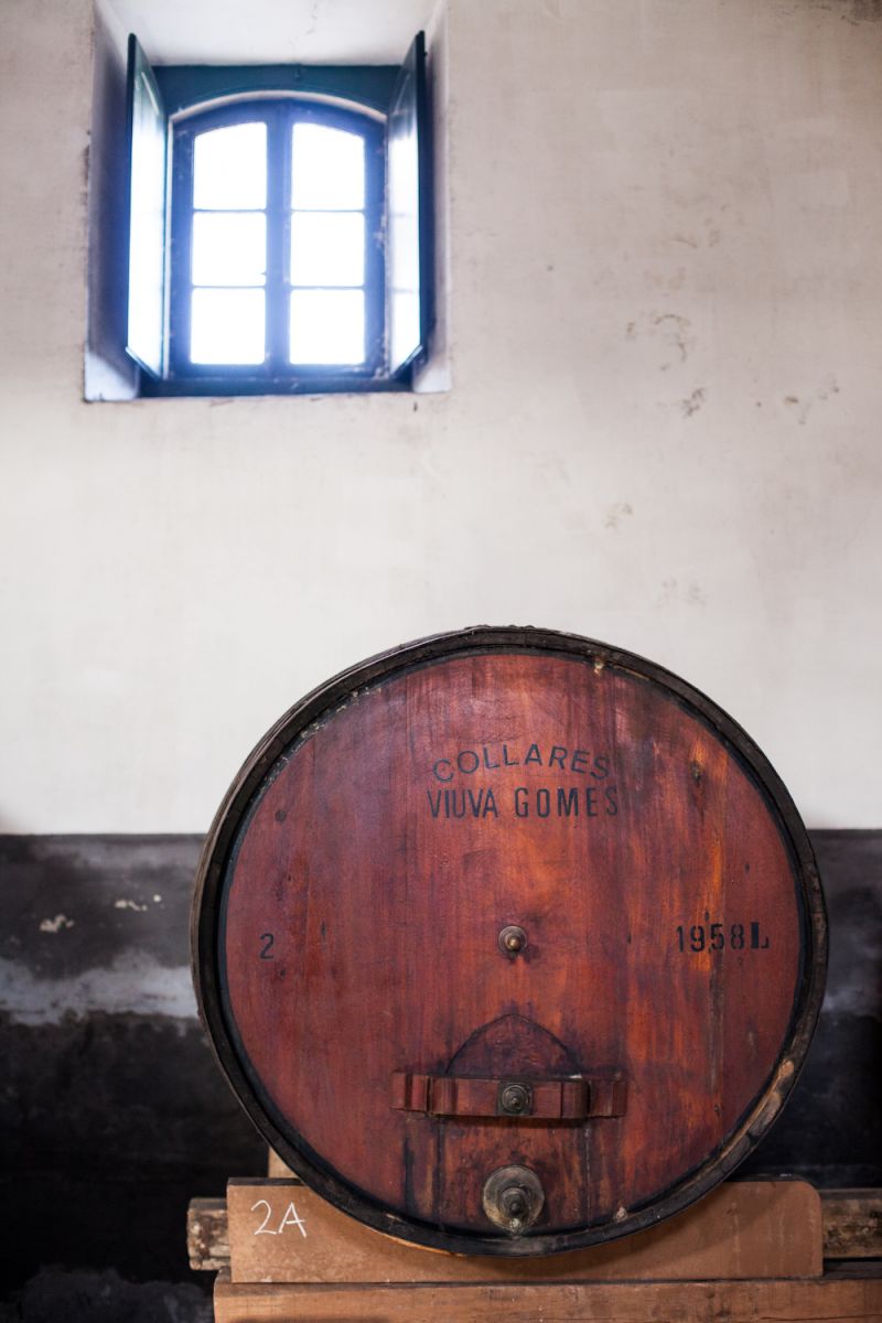  Viúva Gomes | Wines of Lisbon & Co. | The Best Vineyards to Visit and Tour