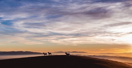 Umbria | Cool Design and Boutique Hotels in Central Italy