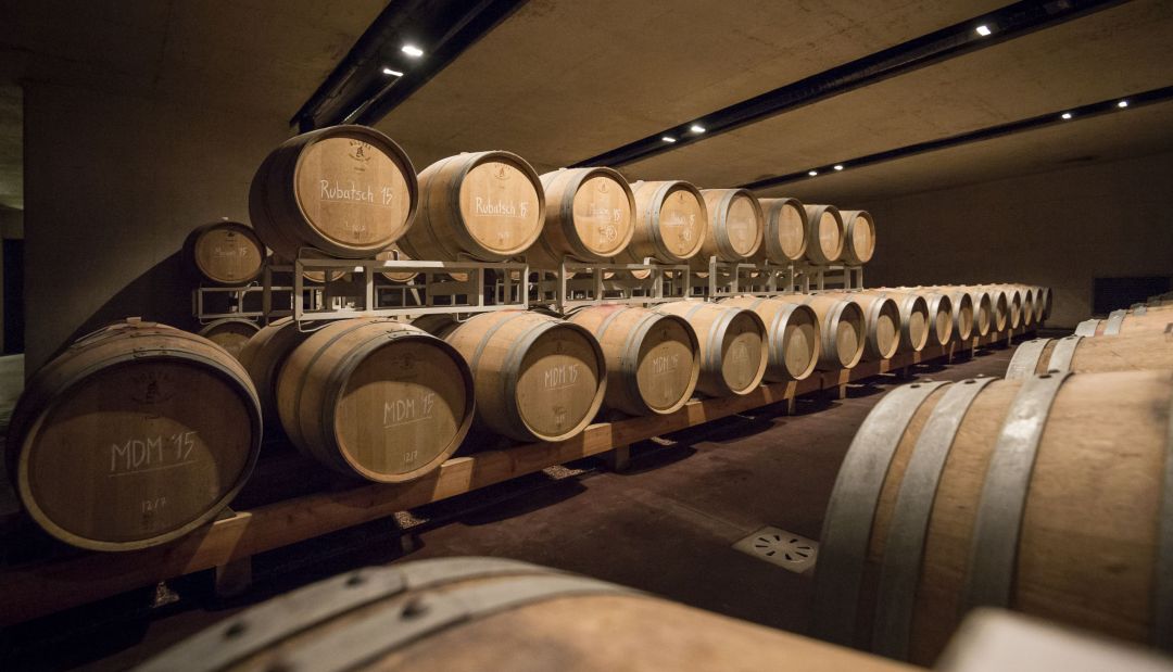 Wine Barrels and cellars of Manincor Vineyards of Kaltern am See | Best Italian Wineries Alto Adige, Italy