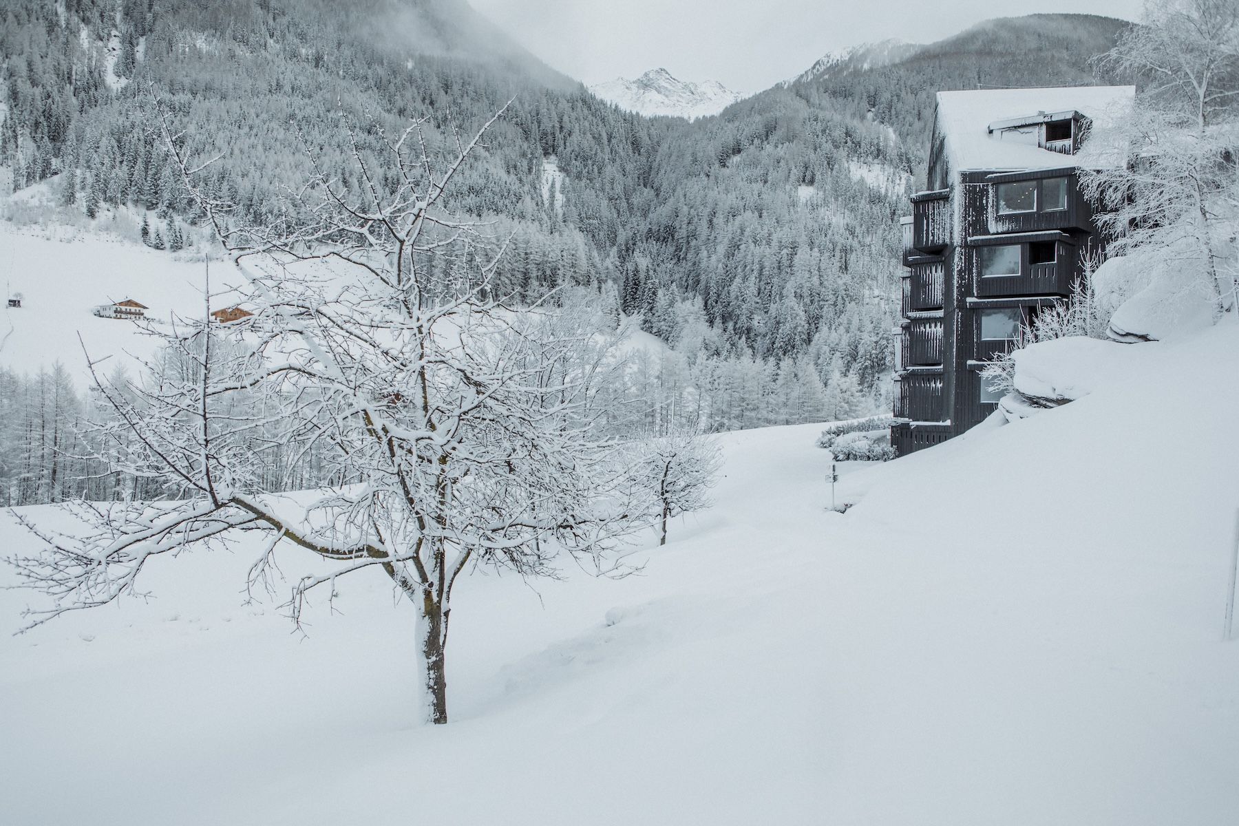 Architectural design Hotel Bühelwirt Valle Aurina/Ahrntal in South Tyrol Italy, member of The Aficionados
