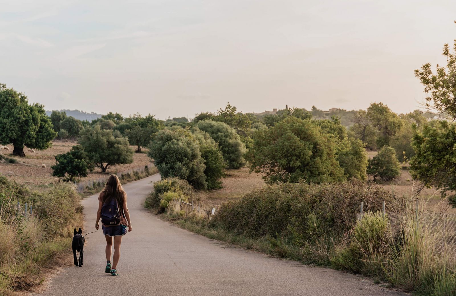 New Members | Latest Hotels & Accommodation On The Aficionados