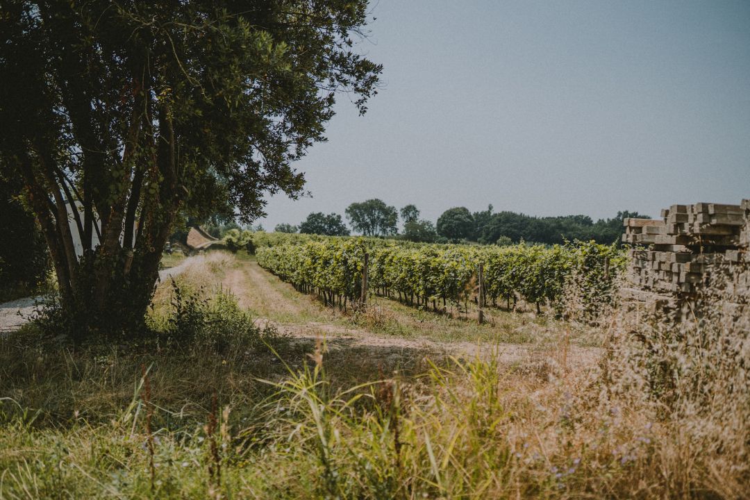 Corte Pravecchio: Sustainable Farm Hotel in Veneto’s Countryside