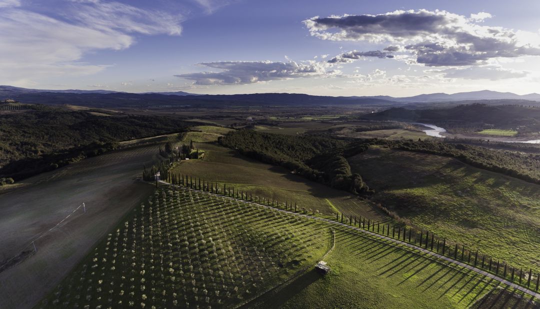 Landscape images of Tuscan Wine Estate | John Voigtmann of La Bandita Pienza picks out his favourite Tuscan wineries from the Val d'Orcia: Brunello to Chianti Classico, vineyards to explore in Italy. 