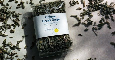 Unique Greek Sage  Daphnis and Chloe Herbs