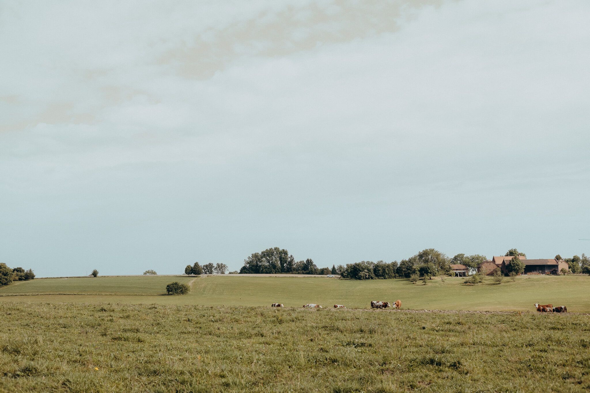 Rural Lower Bavaria | Wild Meados, farming lands, grey skies, DENNHARTEN | Beautiful Design Guesthouse & Event Venue in Bavaria