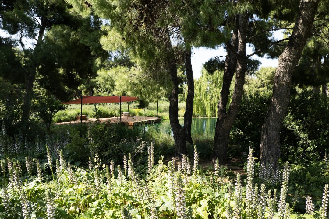 Natural swimming pond fringed by Garden with Italian cypresses, verbena and the Parnitha mountains | Tatio Club Athens | The Aficionados 