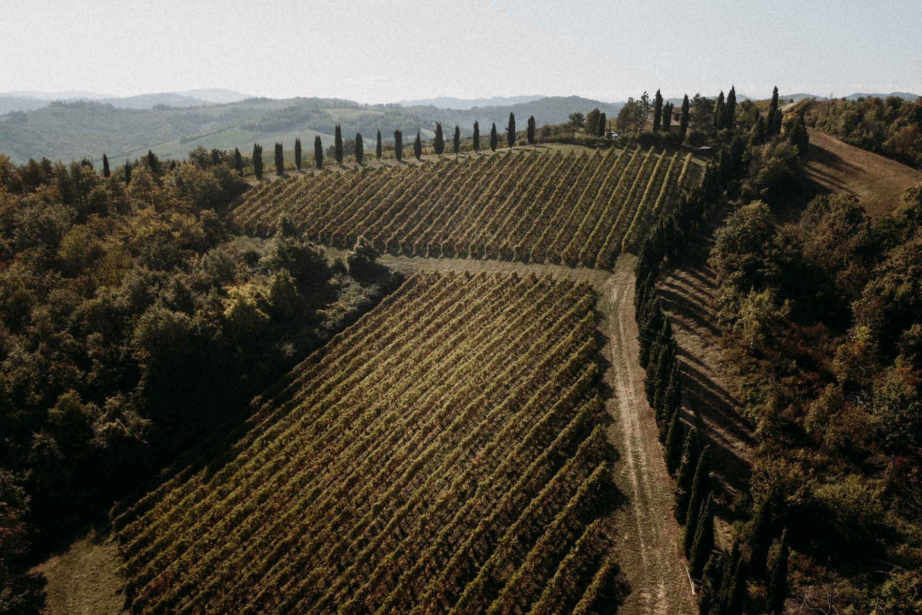 Roncolo 1888 | Boutique Guesthouse Hotel in the Venturini Baldini Vineyards of Emilia Romagna, Italy | The Aficionados
