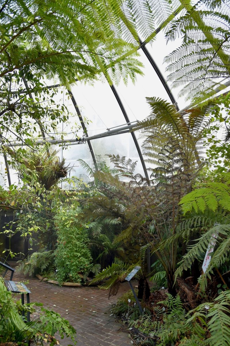 Botanical Gardens Zurich | Urban Green | The Aficionados 