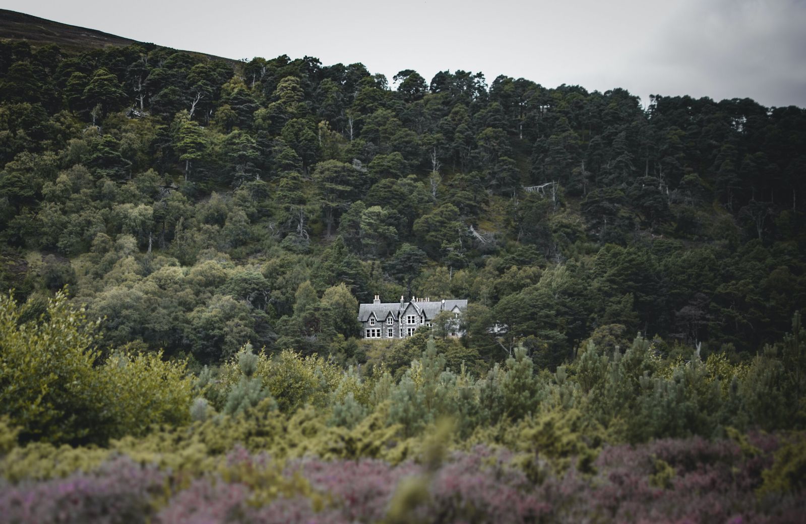 Kinloch Lodge in Sutherland Scotland is a boutique guesthouse and B&B 