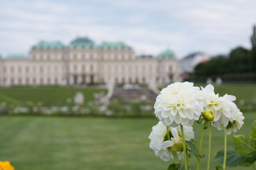 Botanical Garden Vienna | Founded in 1754 by Empress Maria Theresa