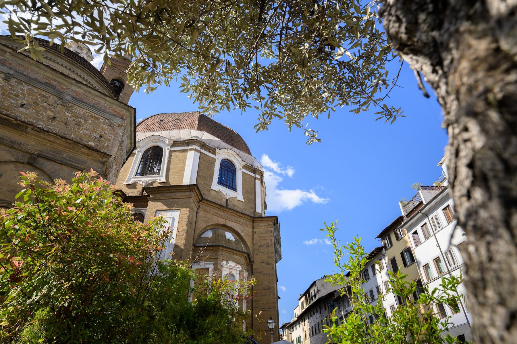 The dome of the Medici Chapels seen through olive branches from Piazza di Madonna degli Aldobrandini, beside Medici Historical Home, images © Tommaso Pini