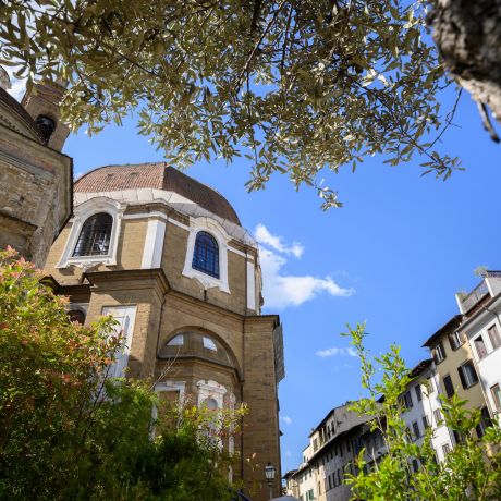 The dome of the Medici Chapels seen through olive branches from Piazza di Madonna degli Aldobrandini, beside Medici Historical Home, images © Tommaso Pini