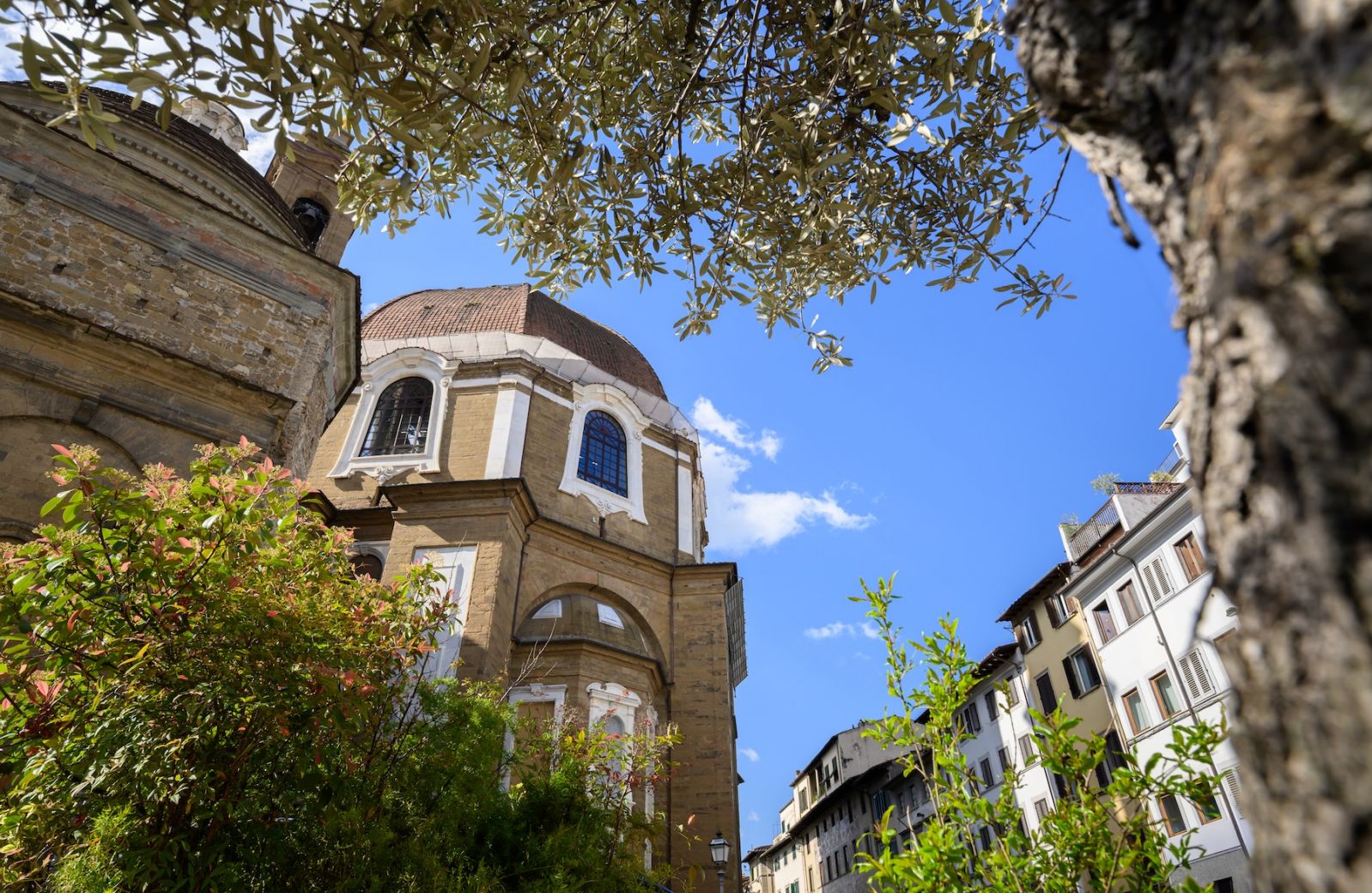 The dome of the Medici Chapels seen through olive branches from Piazza di Madonna degli Aldobrandini, beside Medici Historical Home, images © Tommaso Pini
