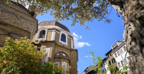 The dome of the Medici Chapels seen through olive branches from Piazza di Madonna degli Aldobrandini, beside Medici Historical Home, images © Tommaso Pini