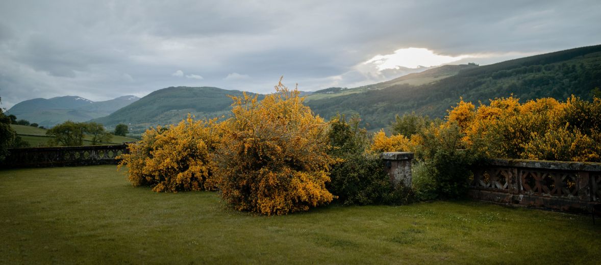 Nature, history, and adventure collide in an untamed playground. From wild safaris to candlelit castles, it’s time to live Scotland, not just visit. Ready to roam?