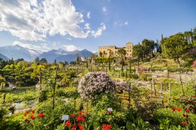 Trauttmansdorff Botanical Gardens Merano South Tyrol | The Aficionados