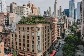 The Greenwich Hotel, New York | Luxurious Lodgings of TriBeCa