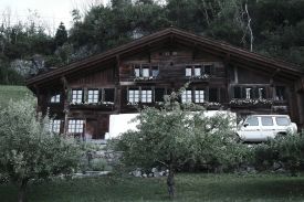 Classic timber chaltet of Bernese Overland: Haus Mannenberg at dusk, seen through a laden apple tree in the foreground, shuttered windows and steep chalet roofline behind,