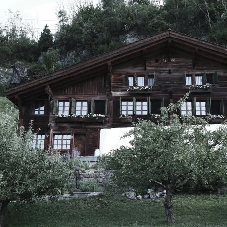 Classic timber chaltet of Bernese Overland: Haus Mannenberg at dusk, seen through a laden apple tree in the foreground, shuttered windows and steep chalet roofline behind,