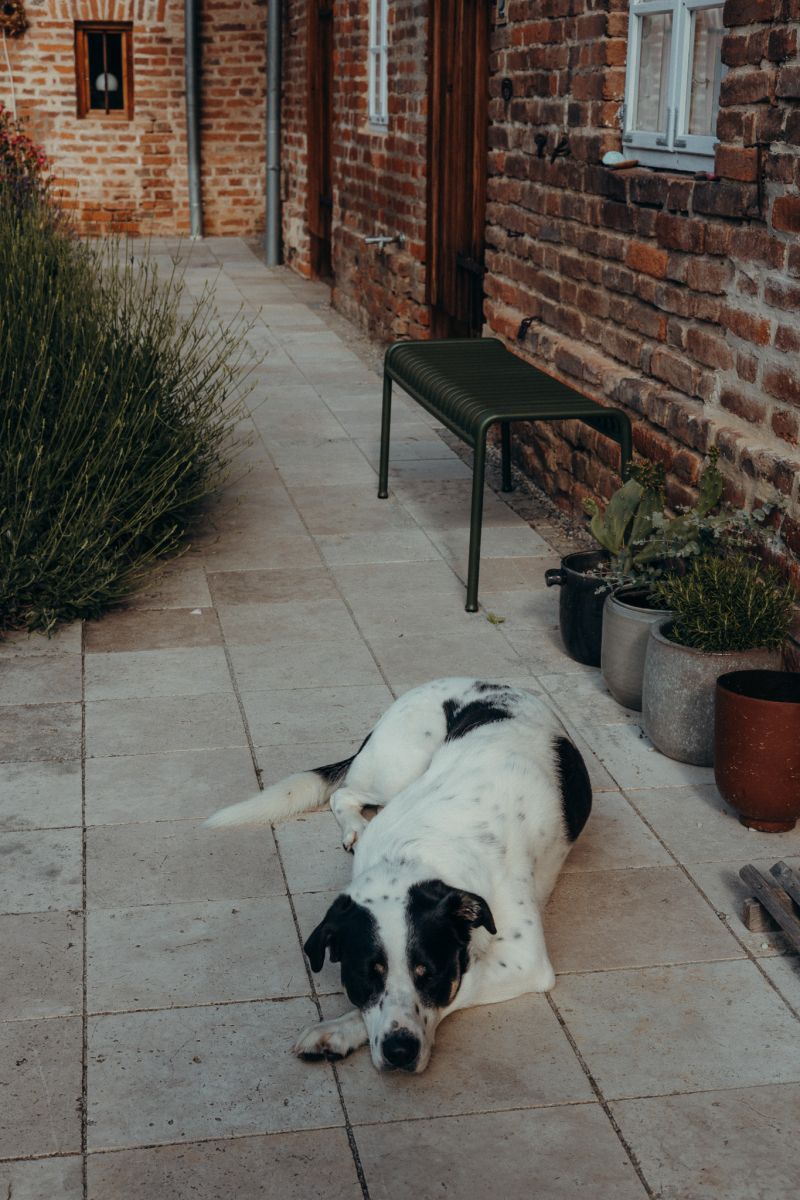 Happy Hound lying down at the Farmyard | Photos DENHARTEN Historic Bavarian Farmhouse Interiors & Design