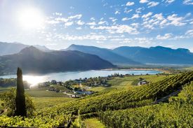 Caldaro al Lago/Kaltern am See Hotels | South Tyrol | The Aficionados