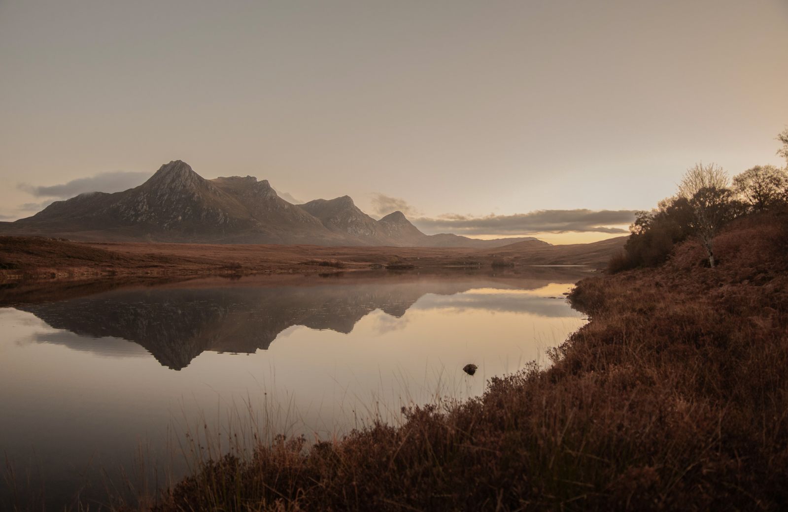 The Aficionados | Curated Travel Guides | Design Hotels