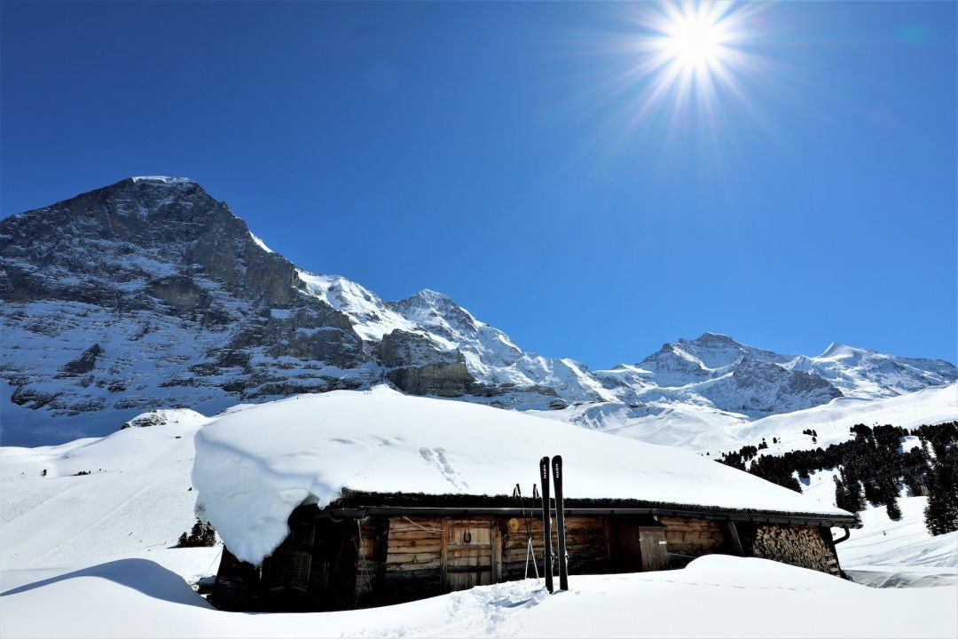 Alpine Ski Hut run Snow : The Best Ski Makers | The Aficionados Journal 