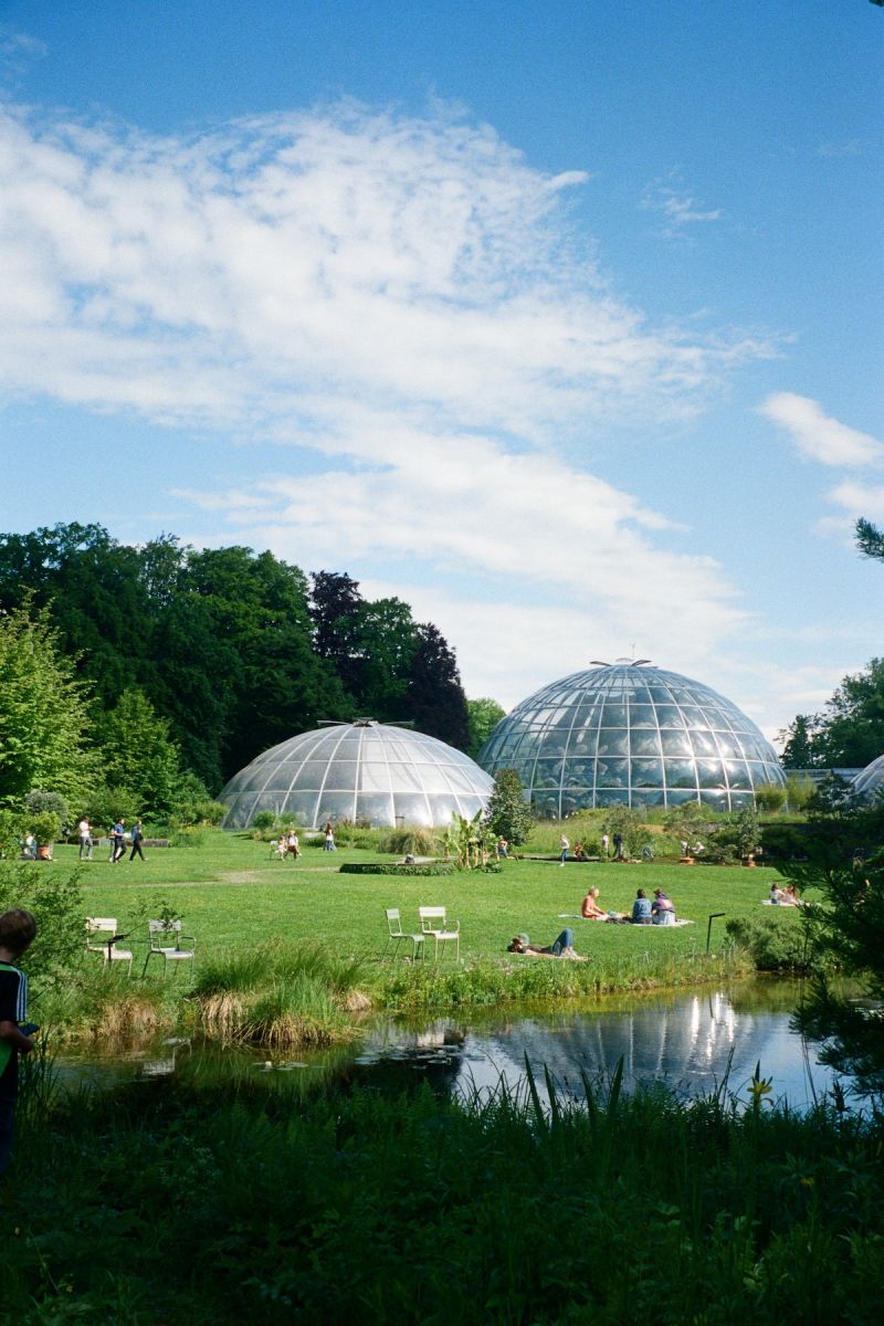 Botanical Gardens Zurich | Urban Green | The Aficionados 