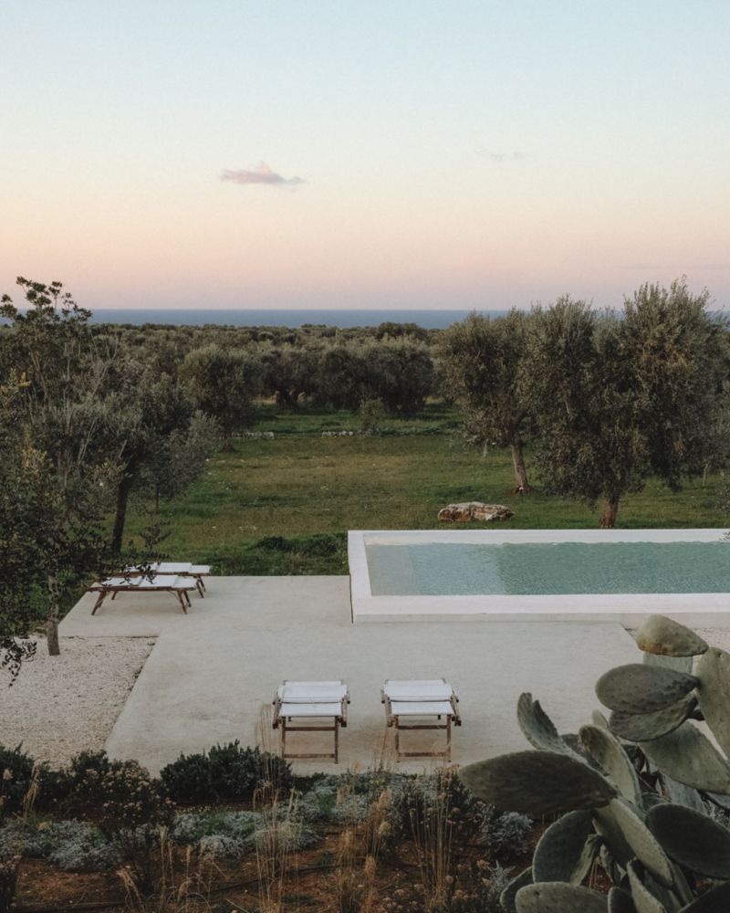 Raised pool and timber loungers above an olive grove running to the Adriatic at dusk, Moroseta, near Ostuni, Puglia | The Aficionados.