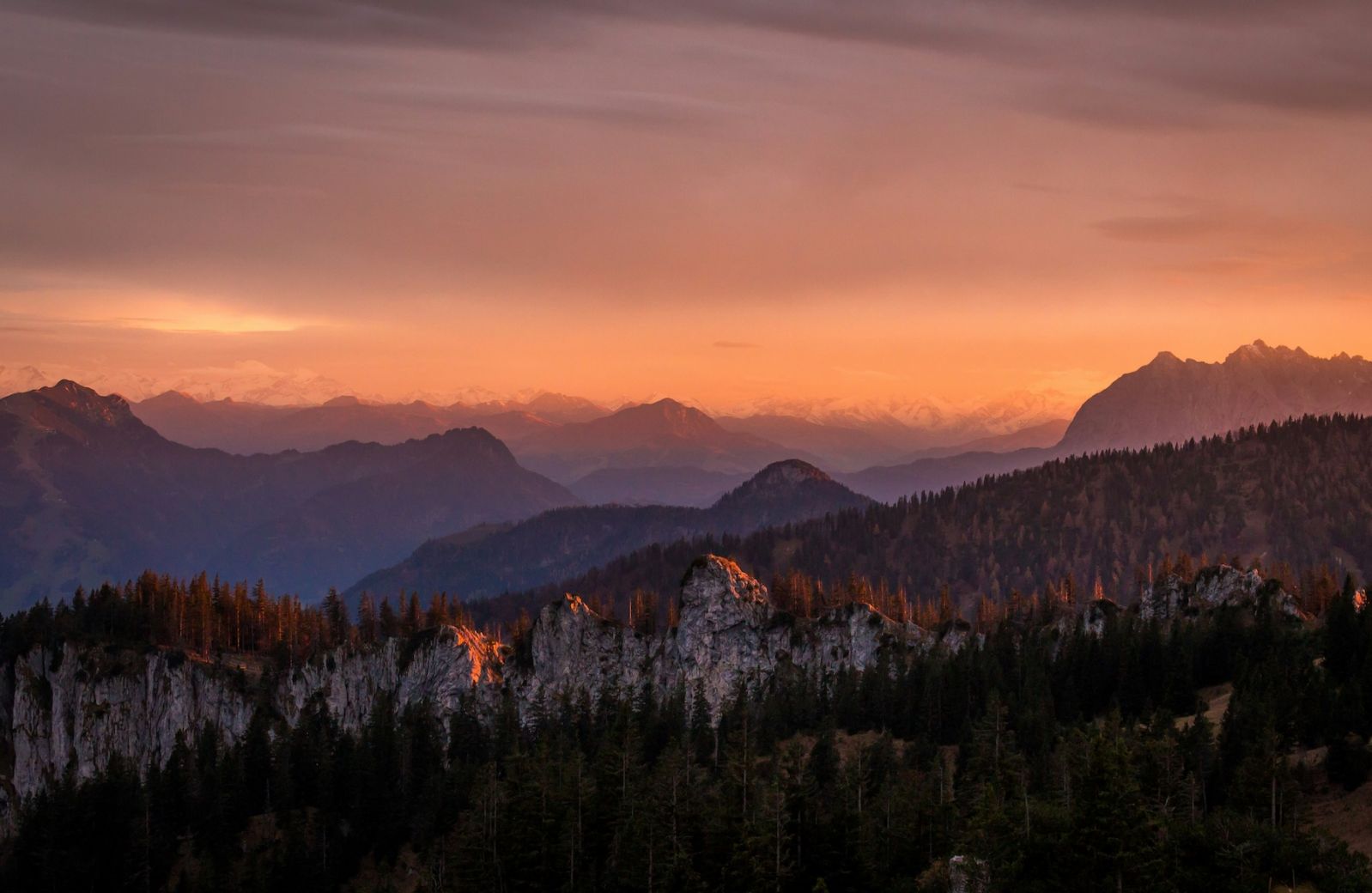 The Aficionados | Curated Travel Guides | Design Hotels