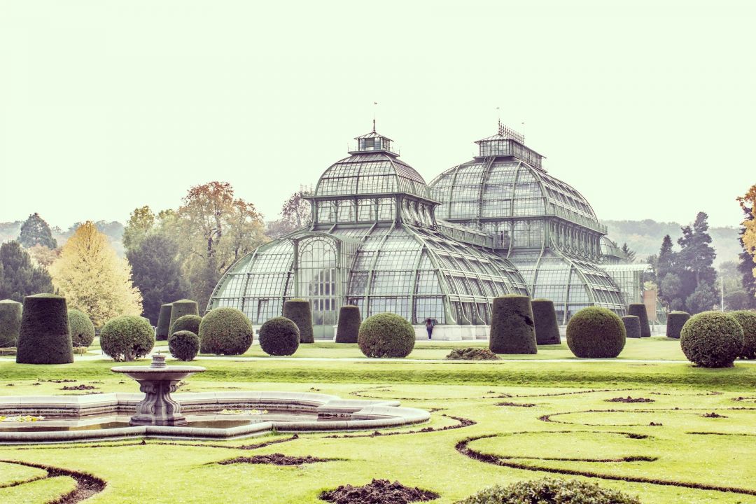 Tropical Botanical Gardens | Salzburg, Rome, Vienna, Lisbon to the Bronx