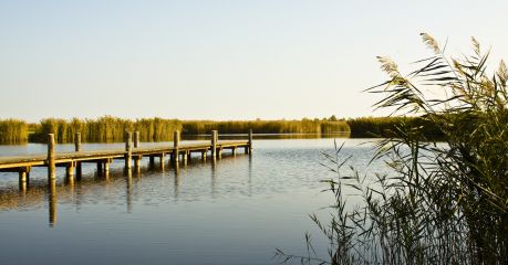 Neusiedler See, Burgenland Austria, Lake Neusiedler