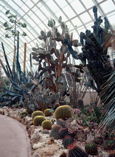 Cactus House  NYBG New York Botanical Garden | Bronx NYC | The Aficionados