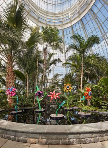  Yayoi Kusama and her Cosmic Nature NYBG New York Botanical Garden | Bronx NYC | The Aficionados