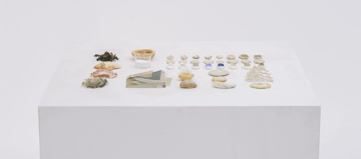 Natural Material Studio Bonnie Hvillum - A Pioneer of Biodegradable Design 