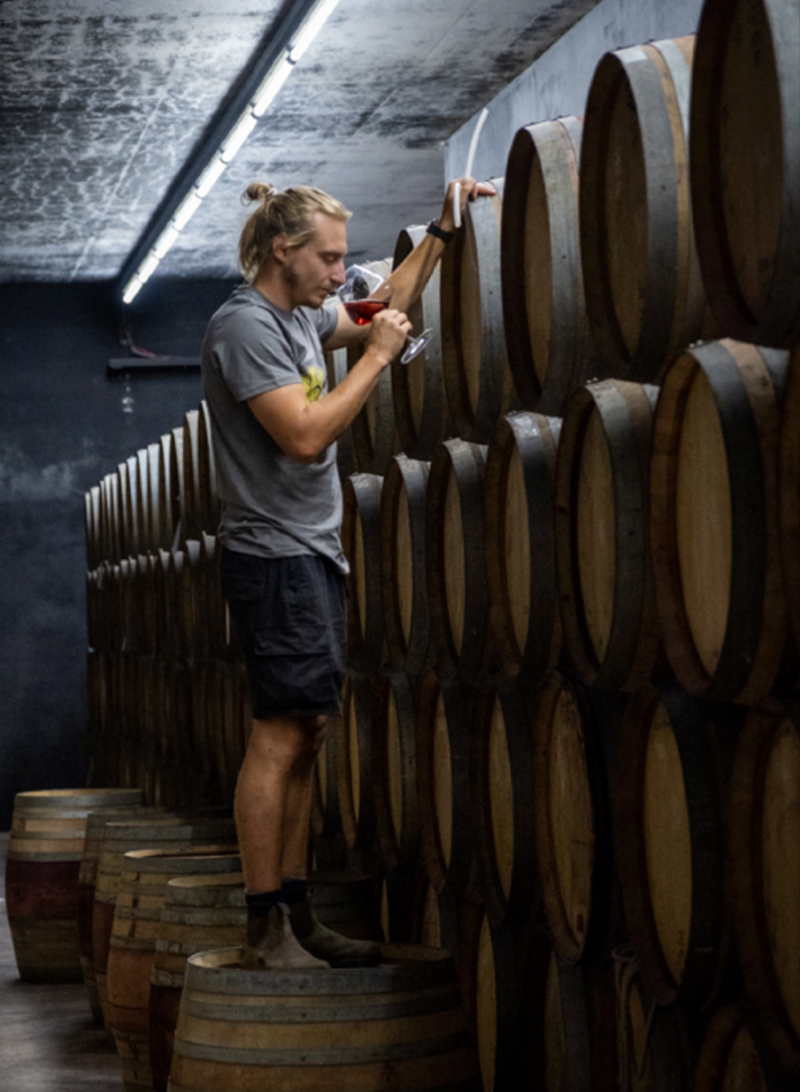 Niepoort | From Port to Wine: Five Winemaker Innovators in Porto