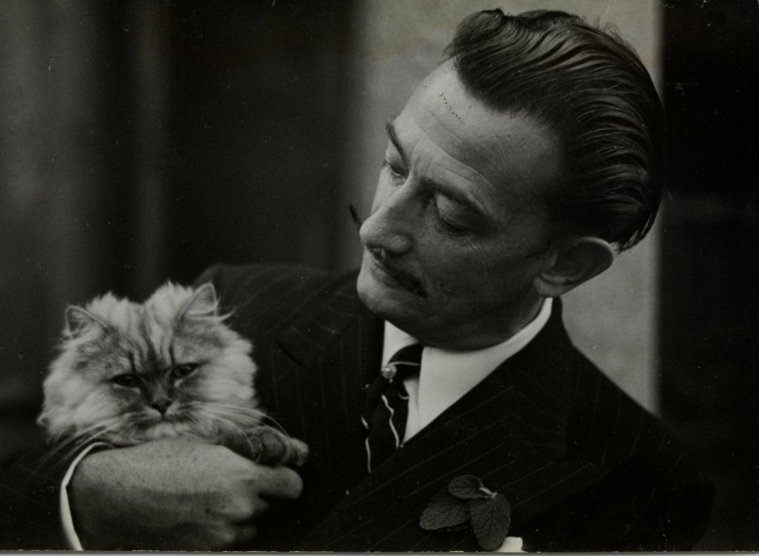 Fundació Gala-Salvador Dalí | Salvador Dalí with his pet cat | Dali’s World of L’Empordà | The Dalí Triangle in Costa Brava, Spain 