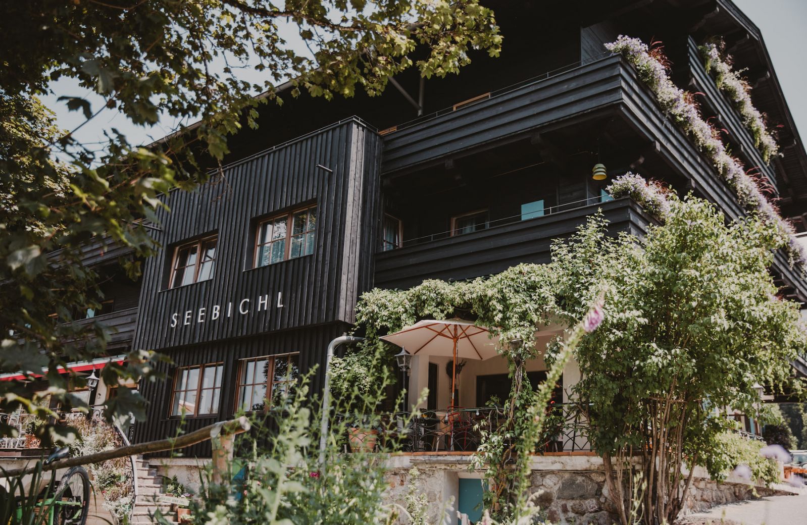 New Members | Latest Hotels & Accommodation On The Aficionados