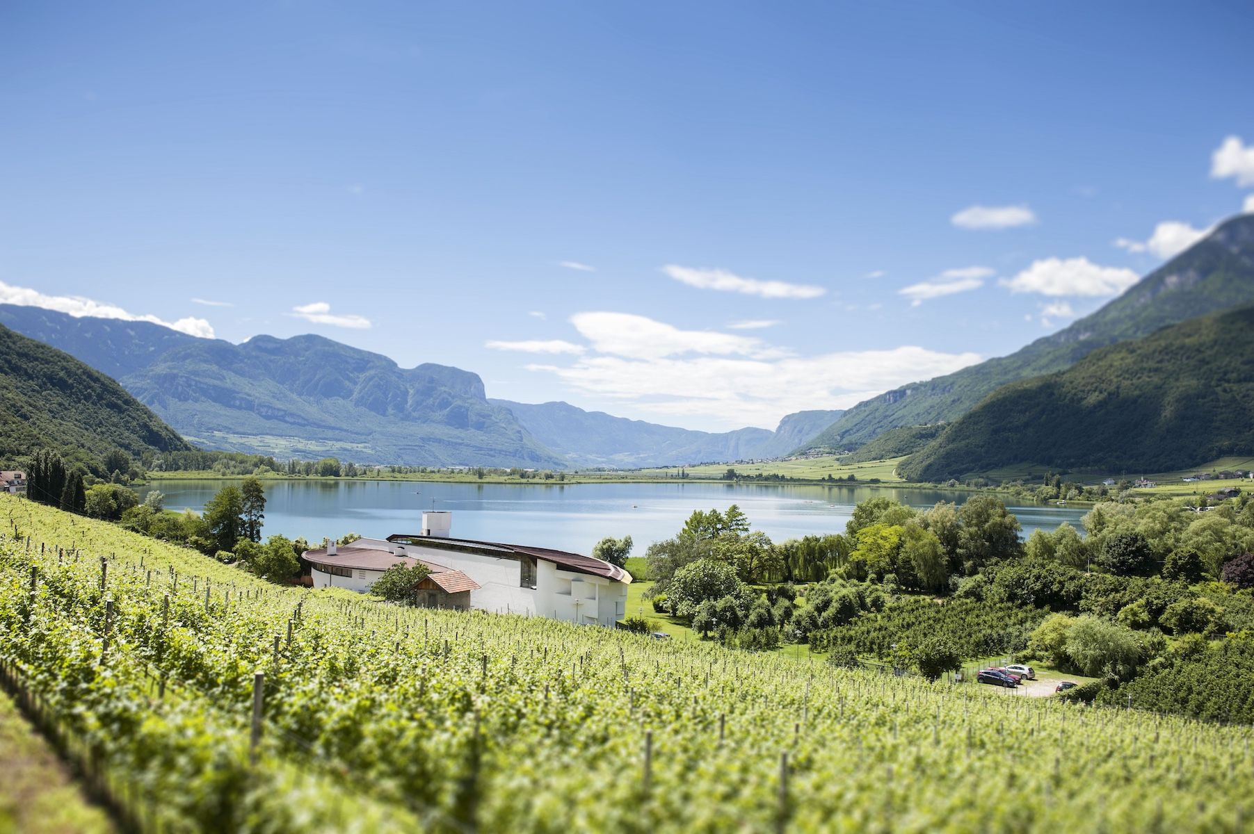 Caldaro al Lago/Kaltern View from Seehotel Ambach, South Tyrol Italy 