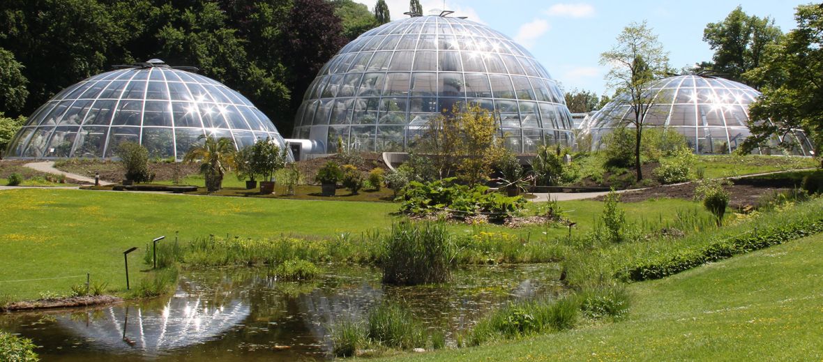 Domes at the Botanical Gardens of Zurich | The Aficionados