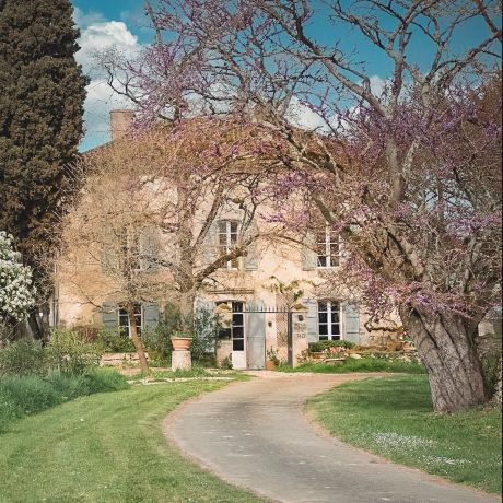 Maison Duroy exterior spring view pink Judas tree blooms honeyed stone facade vert de gris shutters Gascogne countryside | The Aficionados