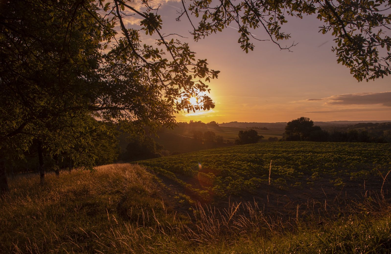 Gascogne Hotels | Travel Tips | The Aficionados