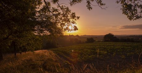 Gascogne Hotels | Travel Tips | The Aficionados