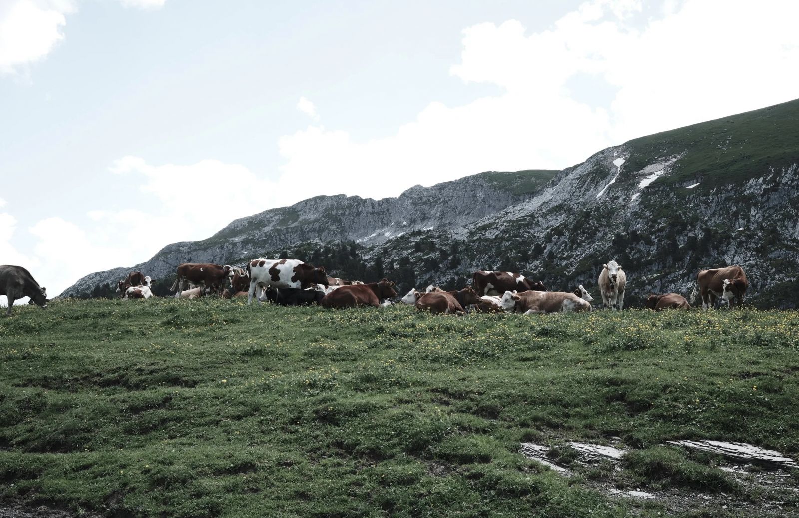The Alpinists | Best Hotels In The Alps | Luxury Alpine Hotels