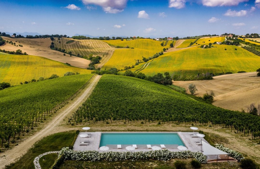 Infinity pool overlooking lush vineyards at Filodivino Wine Resort & Spa.