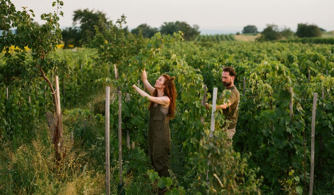 Stephanie Tscheppe-Eselböck and Eduard Tscheppe, owners of Austria's best biodynamic vineyards and winery, Gut Oggau