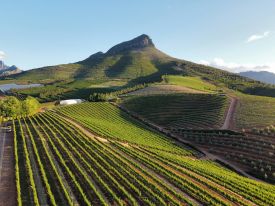 Western Cape | Design Hotels, Winelands & Mountain Passes.