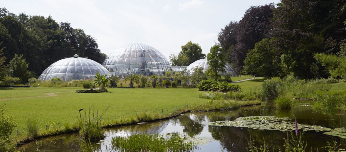 Botanical Gardens Zurich | Urban Green | The Aficionados 